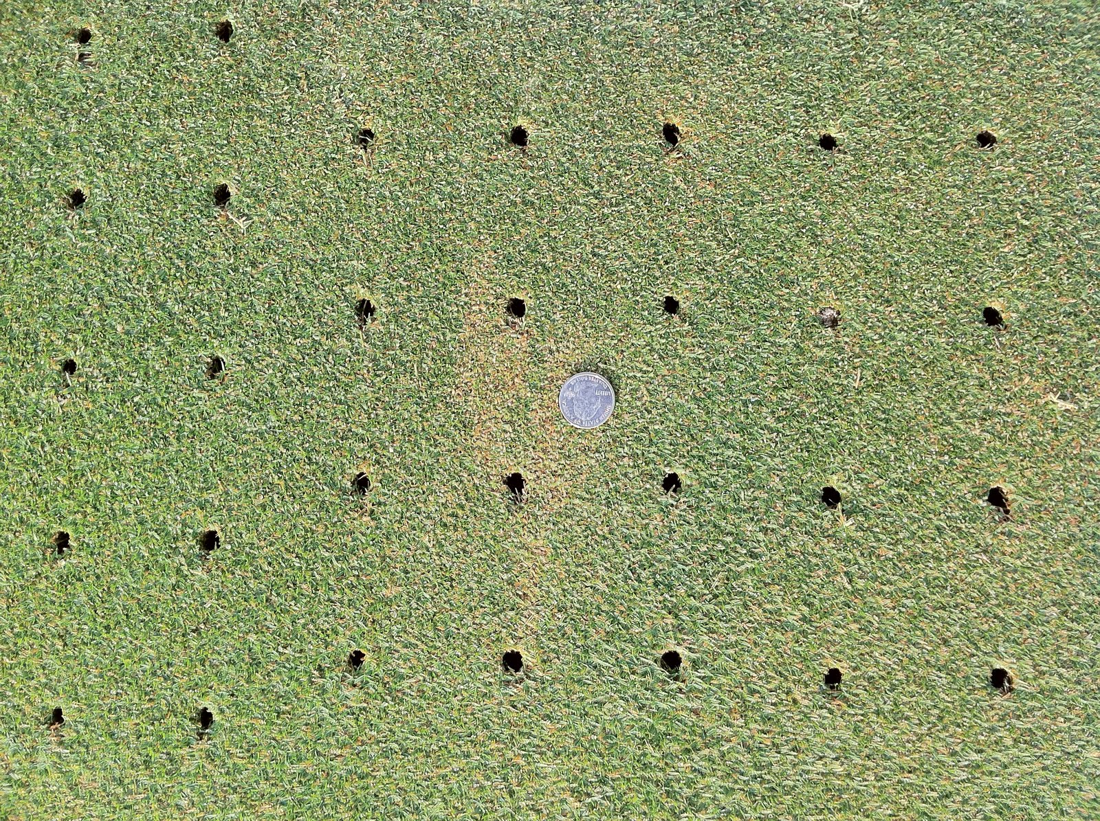 prikken en bezanden green 