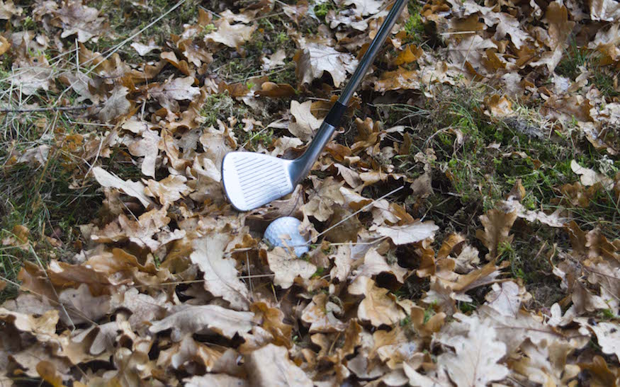 herfst golfbal bladeren