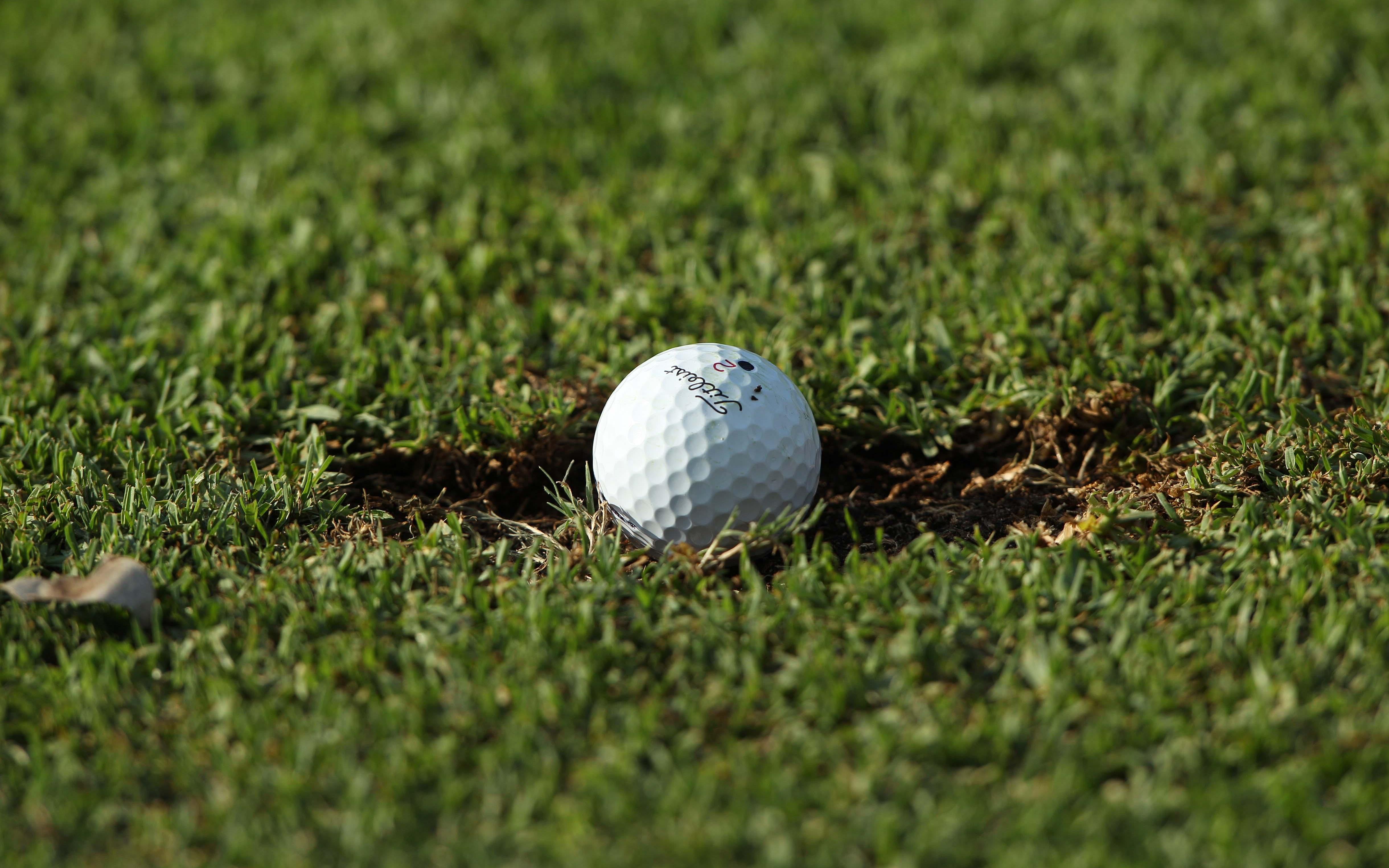 divot plag golf