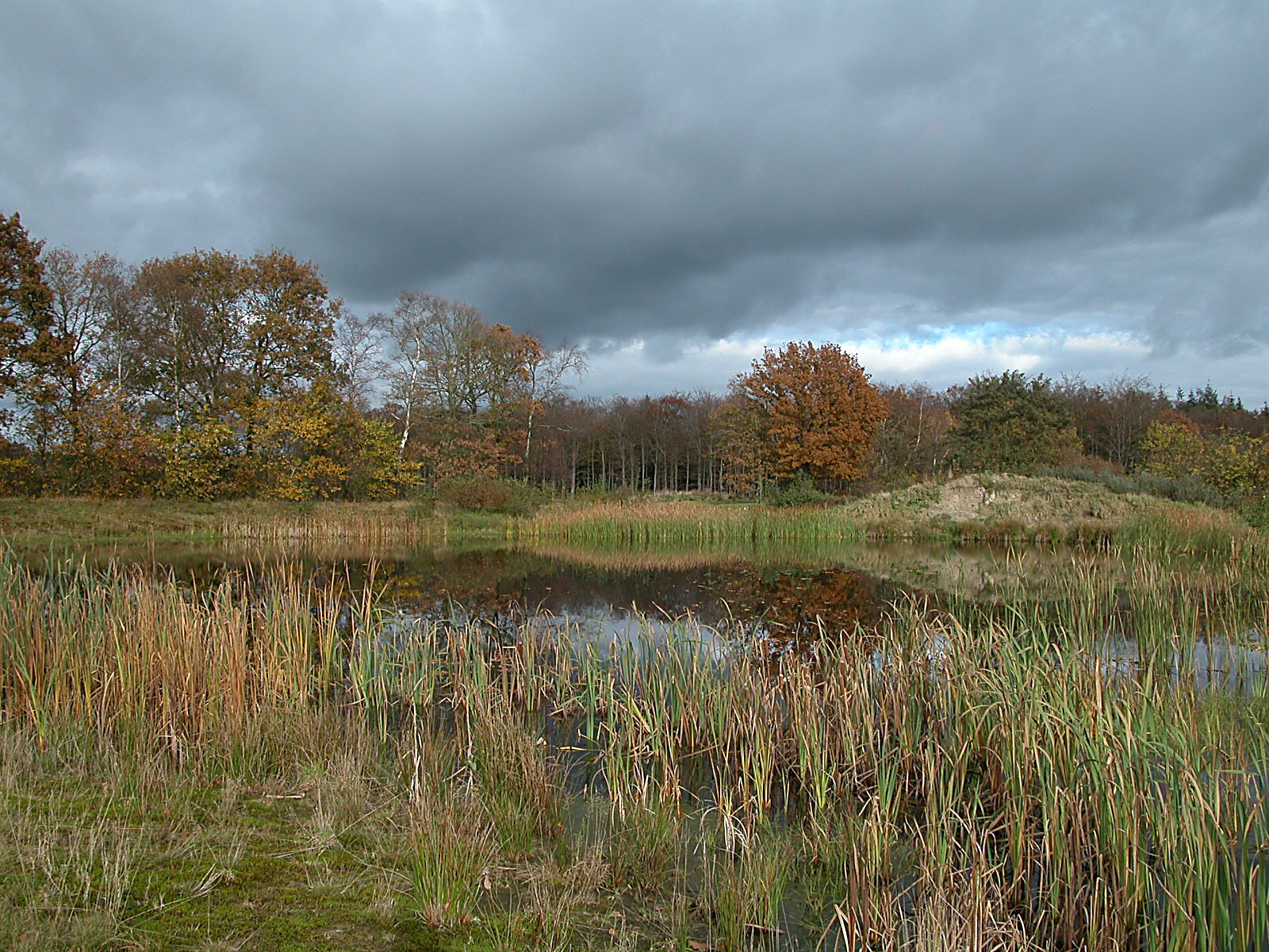 Gaasterland natuur golfbaan
